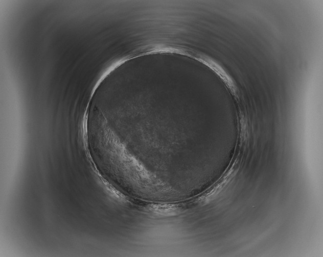X0000116421198200912150952