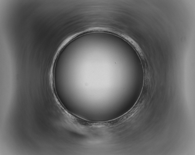 X0000116421199200912150952