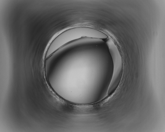 X0000116421200200912150952