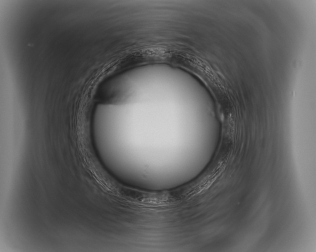 X0000116421201200912150951