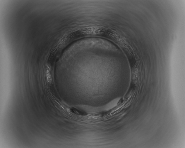 X0000116421202200912150951