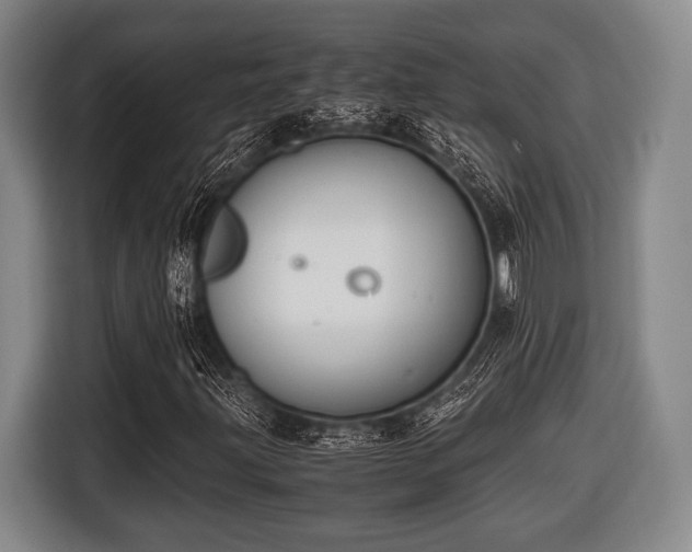 X0000116421203200912150951