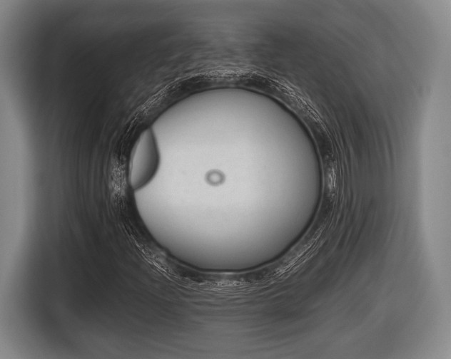 X0000116421204200912150951