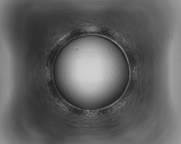 X0000116421205200912150951