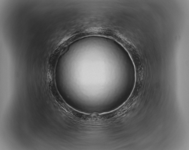 X0000116421206200912150951