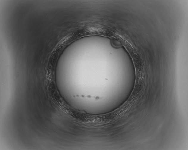 X0000116421207200912150951