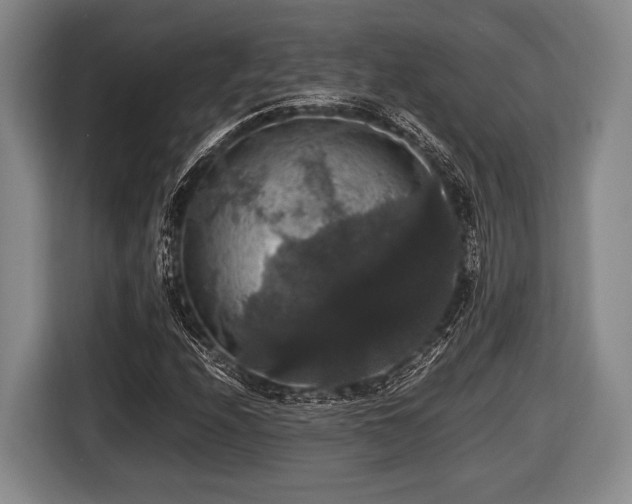 X0000116421208200912150951