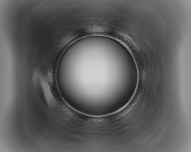 X0000116421209200912150951