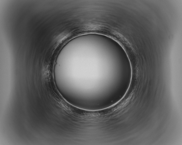 X0000116421210200912150951