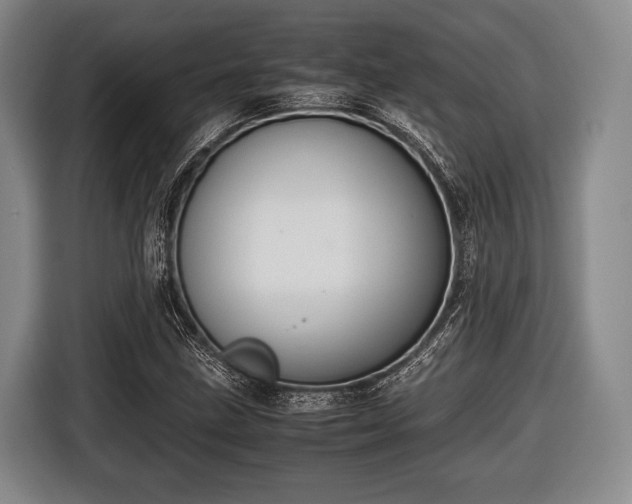 X0000116421211200912150951