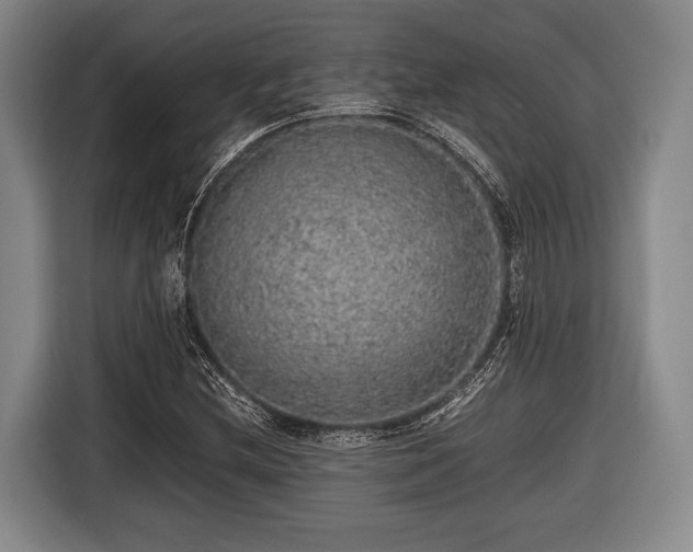 X0000116421212200912150951