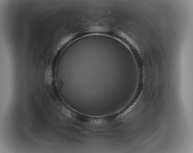 X0000116421213200912150951