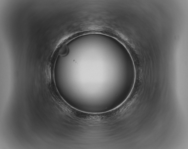 X0000116421214200912150951