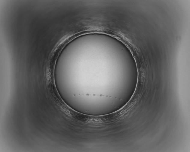 X0000116421215200912150951