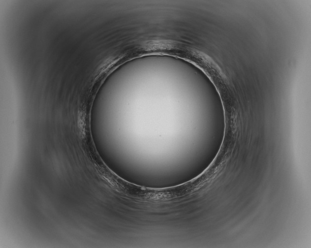 X0000116421217200912150951