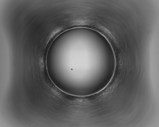 X0000116421218200912150951