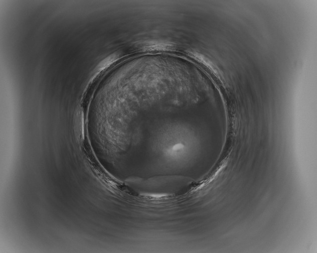 X0000116421219200912150951