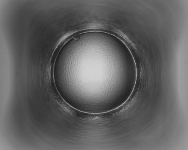 X0000116421222200912150951