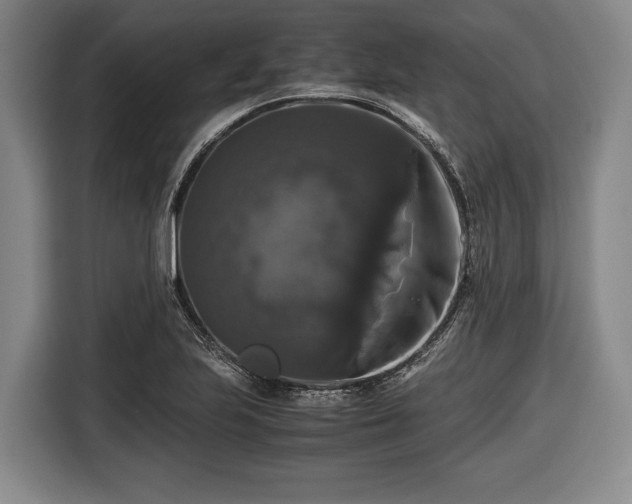 X0000116421223200912150951