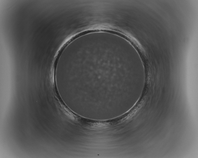X0000116421224200912150951
