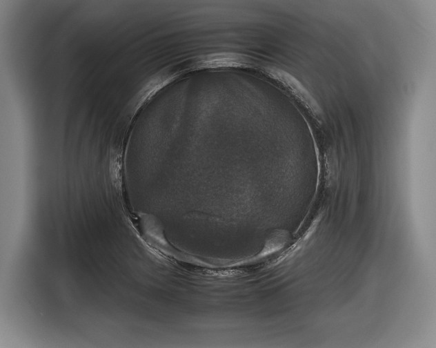 X0000116421225200912150951