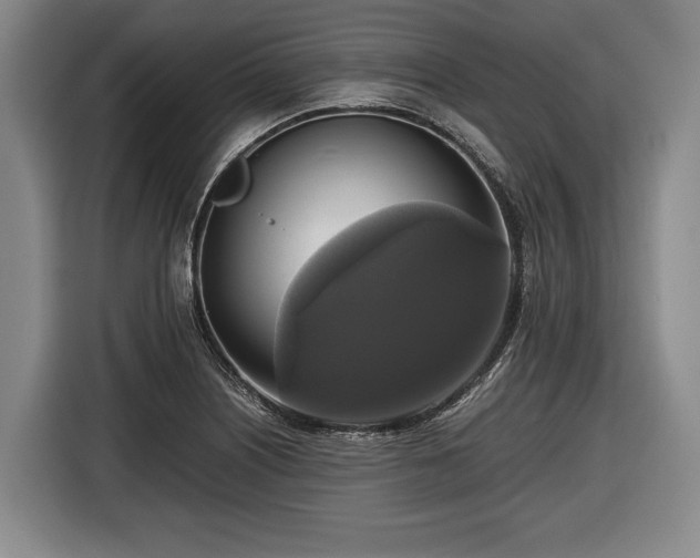X0000116421226200912150951