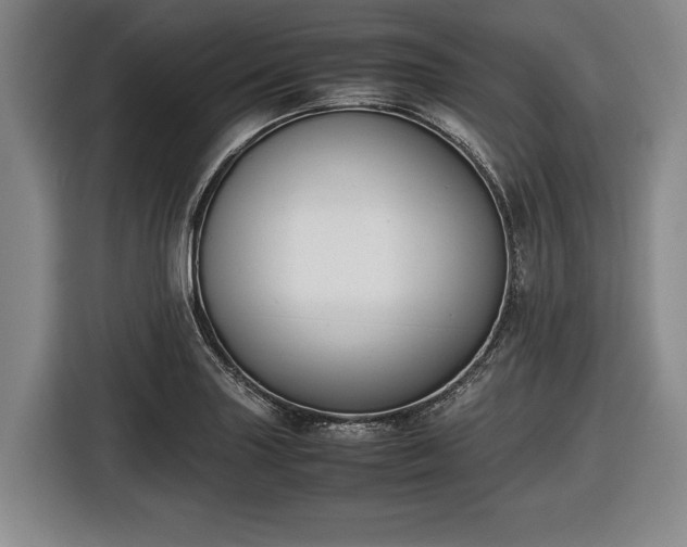 X0000116421227200912150951