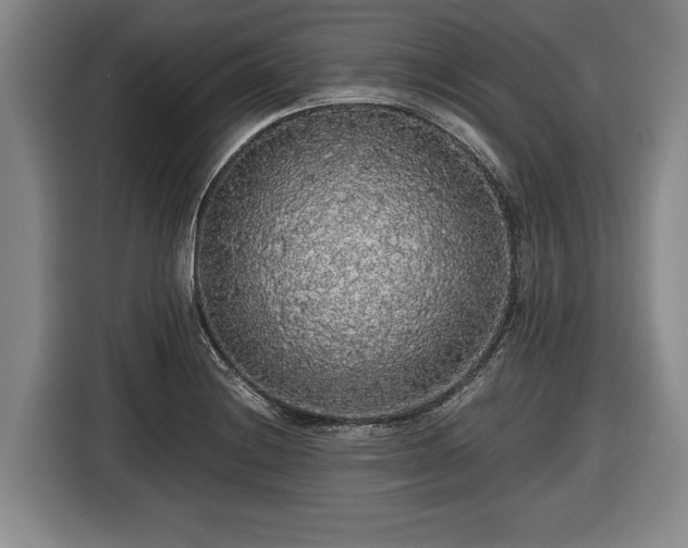 X0000116421228200912150951