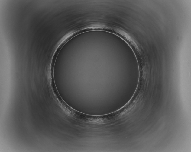 X0000116421229200912150952