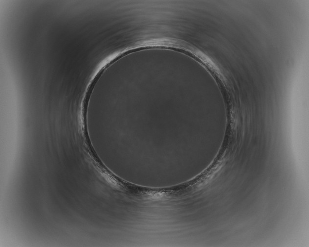X0000116421230200912150952
