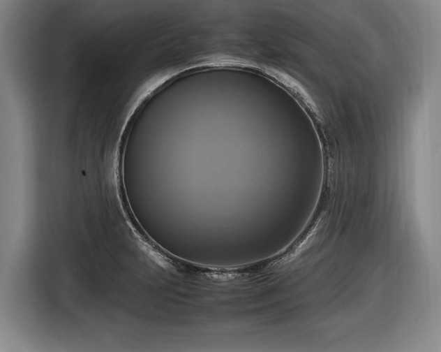 X0000116421231200912150952