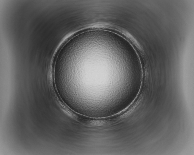 X0000116421232200912150952