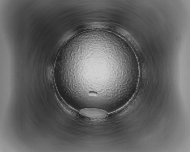 X0000116421233200912150952