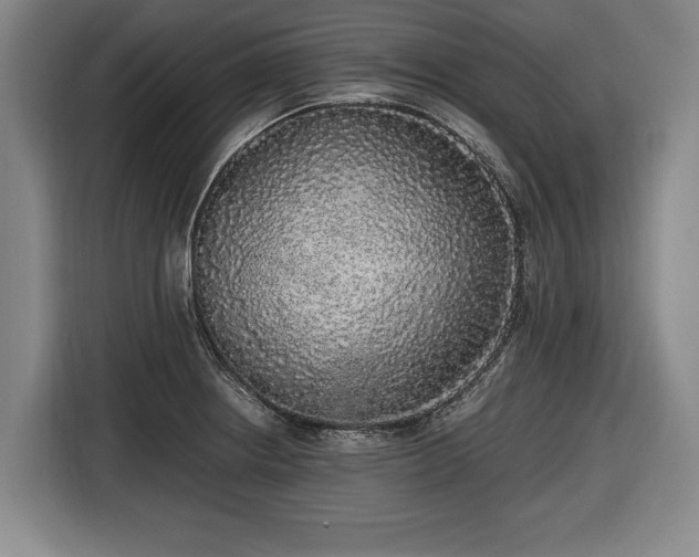 X0000116421234200912150952