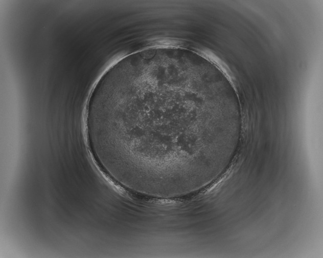 X0000116421235200912150952
