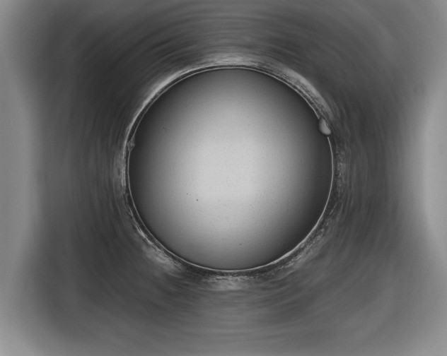 X0000116421236200912150952