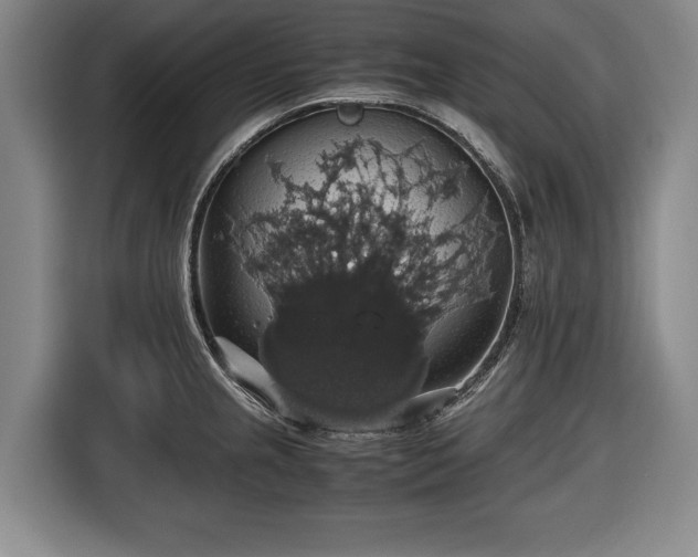 X0000116421237200912150952