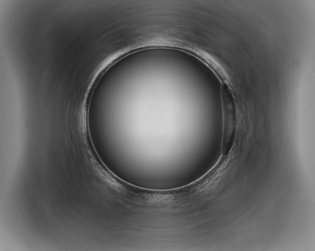 X0000116421238200912150952