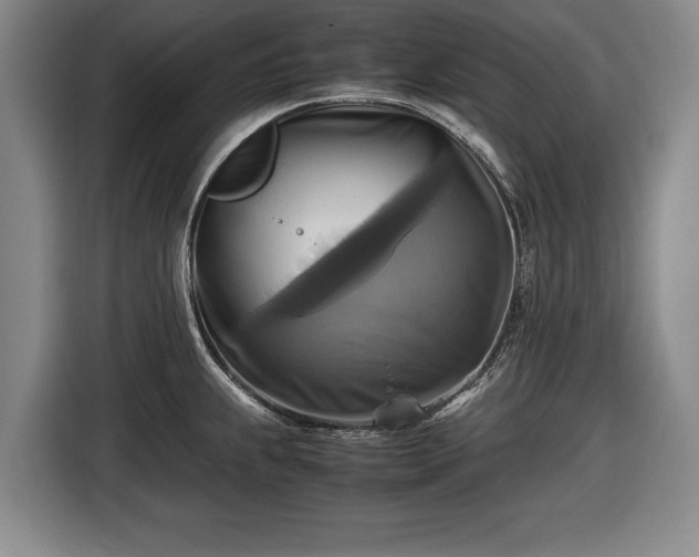 X0000116421239200912150952