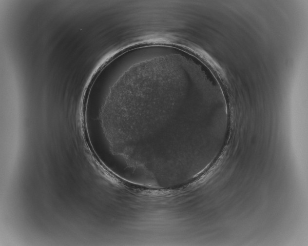 X0000116421240200912150952