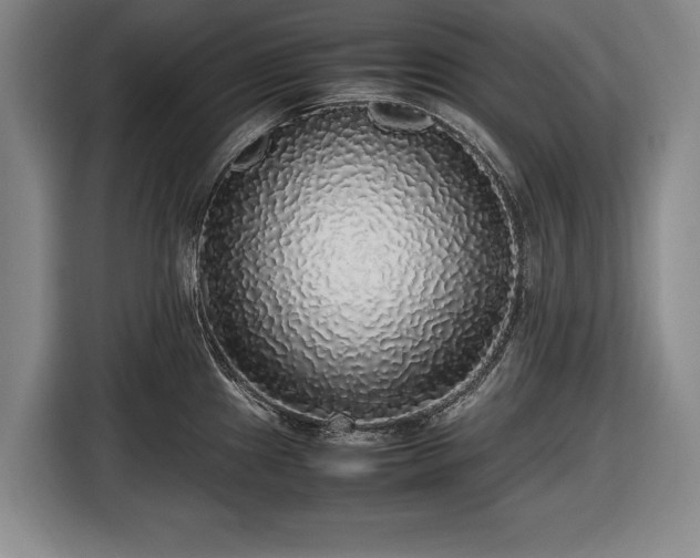 X0000116421241200912150952