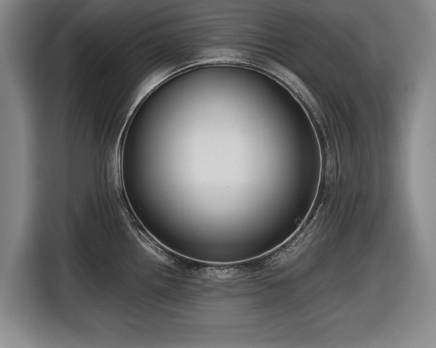 X0000116421242200912150952