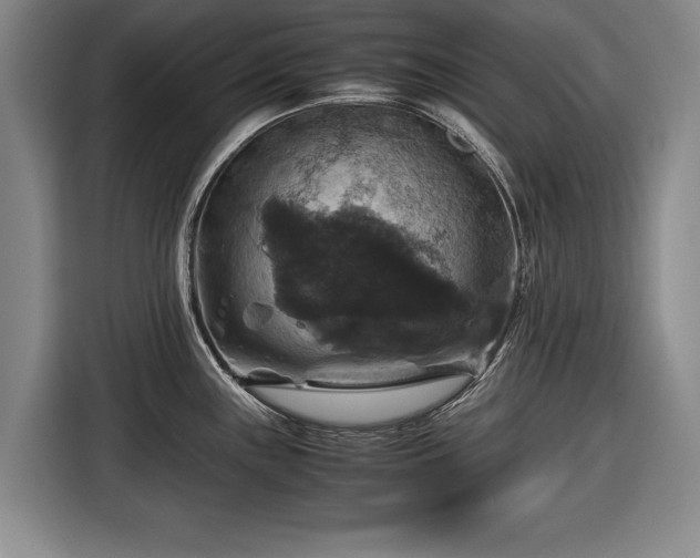 X0000116421243200912150952