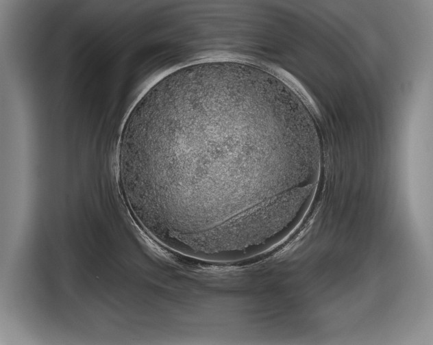 X0000116421244200912150952