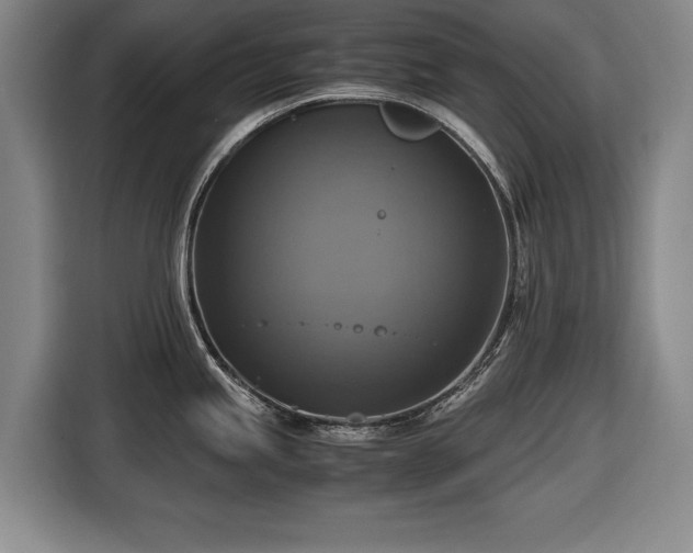 X0000116421245200912150952