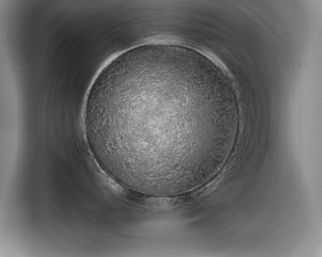 X0000116421248200912150952