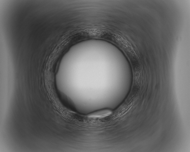 X0000116421249200912150951