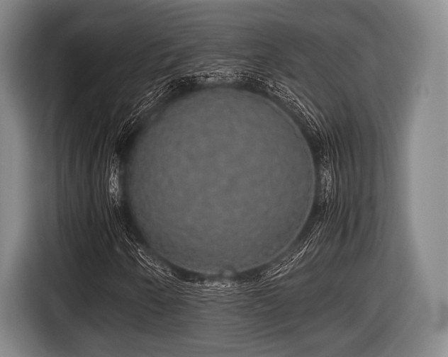 X0000116421250200912150951