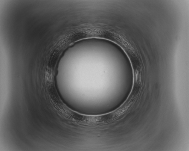 X0000116421251200912150951