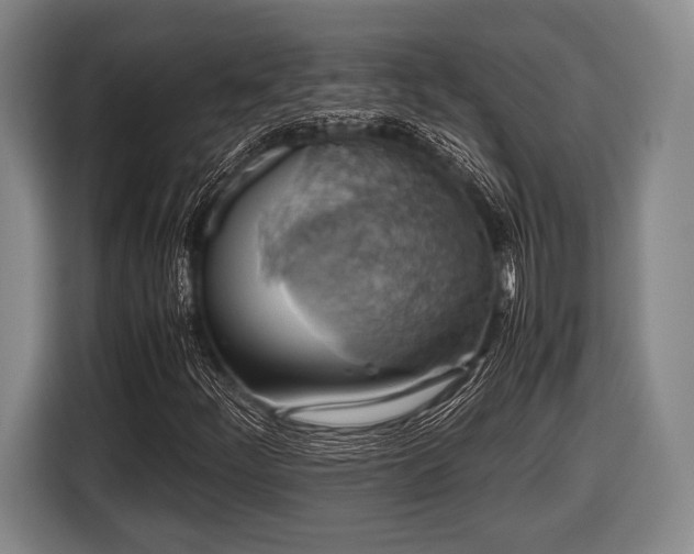 X0000116421252200912150951
